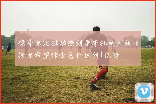 德泽尔比推动热刺争夺托纳利纽卡斯尔希望转会总价达到1亿镑